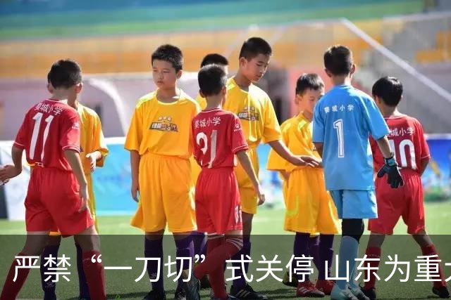 严禁“一刀切”式关停 山东为重大事故隐患停产整顿“立规”
