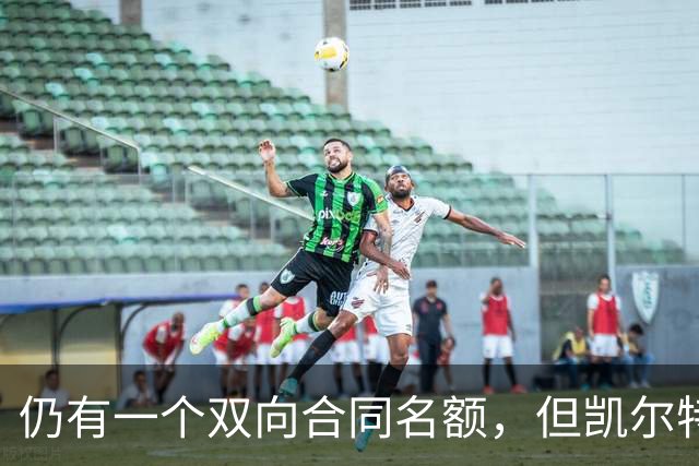 仍有一个双向合同名额，但凯尔特人可能短时间内不会进行引援？