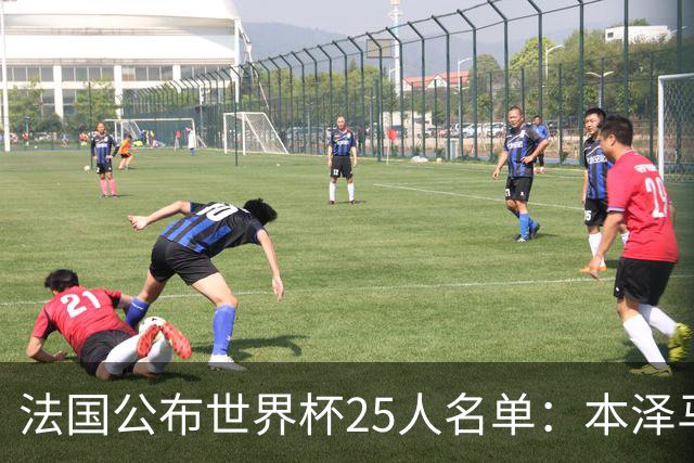 法国公布世界杯25人名单：本泽马姆巴佩领衔