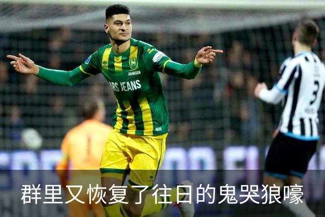 群里又恢复了往日的鬼哭狼嚎