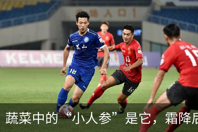 蔬菜中的“小人参”是它，霜降后常吃，一补充维生素，二提高免疫力，三低热量