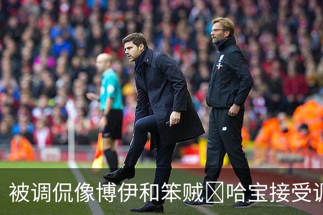 被调侃像博伊和笨贼🤣哈宝接受调侃：一旦接受这个设定😂