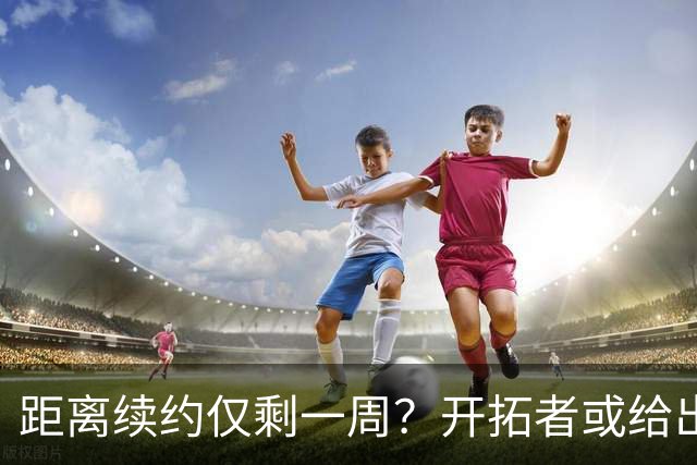 距离续约仅剩一周？开拓者或给出暗示 杨瀚森NBA生涯恐迎来倒计时