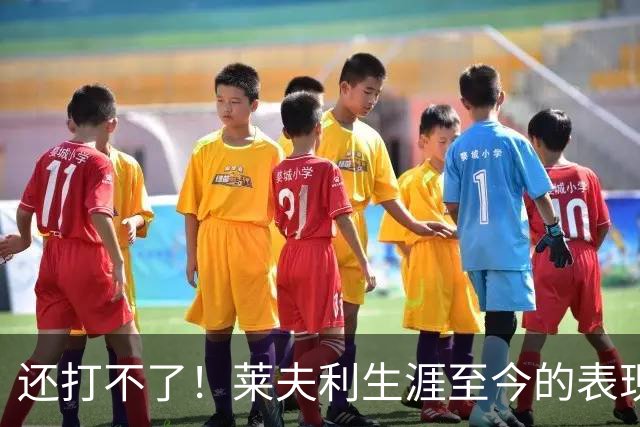 还打不了！莱夫利生涯至今的表现，如何评价？