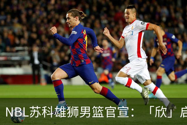 NBL苏科雄狮男篮官宣：「欣」启新章，欢迎王欣瑞加盟